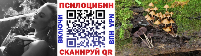 Галлюциногенные грибы мицелий  Большой Камень 